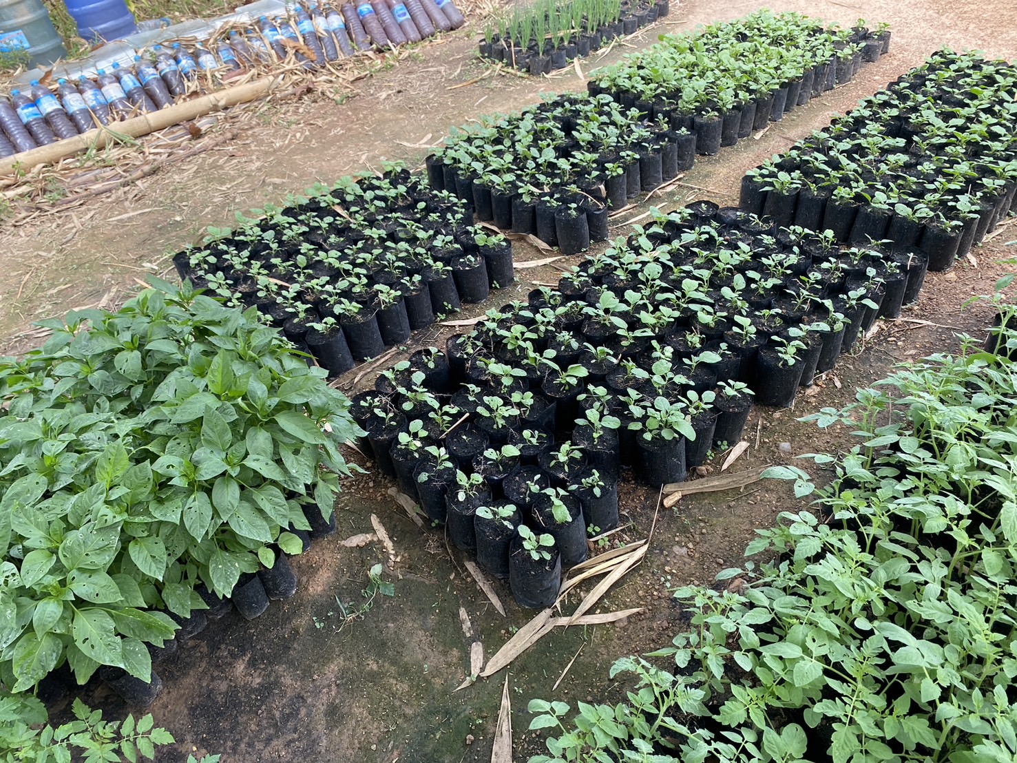 title - หัวหน้าผู้ตรวจราชการ ส.ป.ก. (เขต 3,15 และ 16) ประชุมตรวจติดตามความก้าวหน้าการดำเนินงานตามแผนงานตรวจราชการ ประจําปีงบประมาณ 2569 รอบที่ 1 ณ จังหวัดสุพรรณบุรี